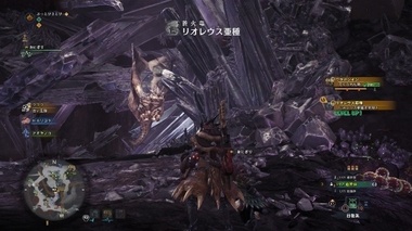 mhw030.jpg