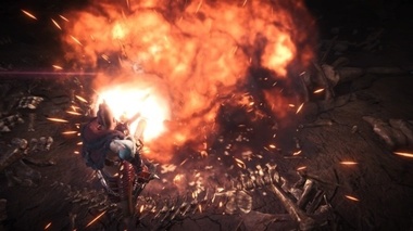 mhw039.jpg