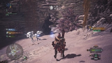 mhw041.jpg