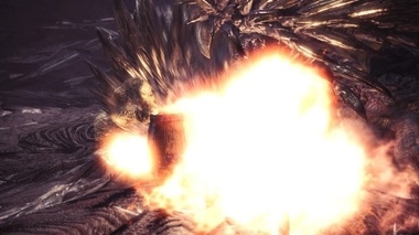 mhw043.jpg