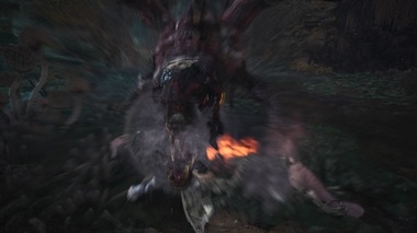 mhw062.jpg