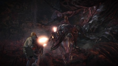 mhw071.jpg