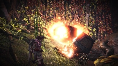 mhw142.jpg
