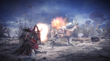 mhw143.jpg