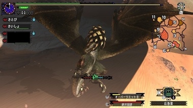 mhxxns018.jpg