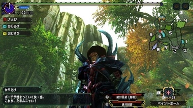 mhxxns067.jpg