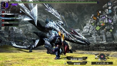 mhxxns073.jpg