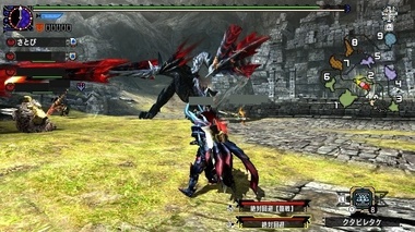 mhxxns074.jpg