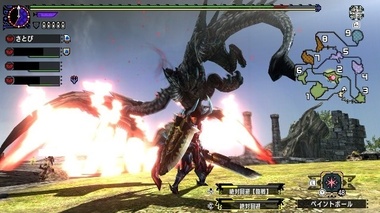 mhxxns075.jpg