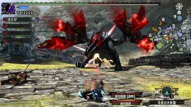 mhxxns076.jpg