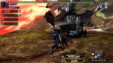 mhxxns078.jpg
