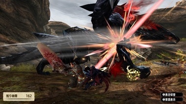 mhxxns079.jpg