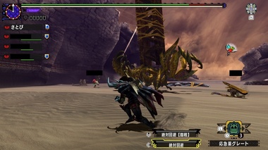 mhxxns086.jpg