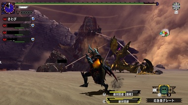 mhxxns087.jpg