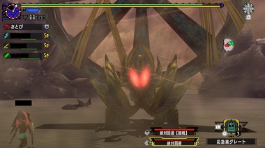 mhxxns091.jpg