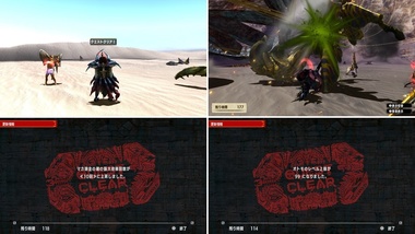 mhxxns096.jpg
