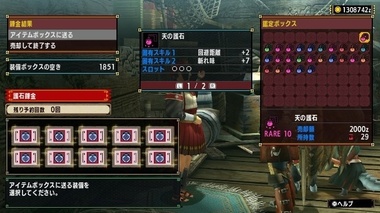 mhxxns118.jpg