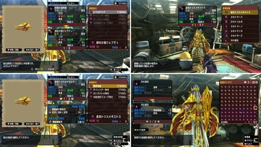 mhxxns147.jpg
