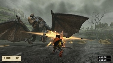 mhxxns148.jpg