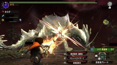 mhxxns157.jpg