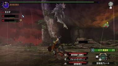 mhxxns158.jpg