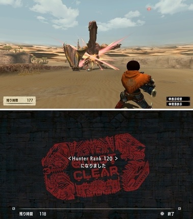 mhxxns162.jpg