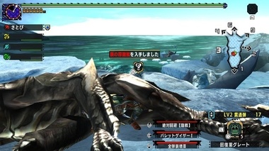 mhxxns165.jpg