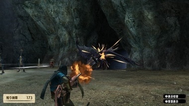 mhxxns191.jpg
