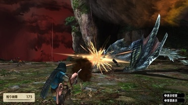 mhxxns195.jpg
