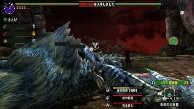 mhxxns203.jpg