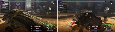 mhxxns204.jpg