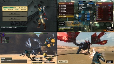 mhxxns215.jpg