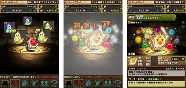 pd1243.jpg