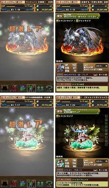 pd2219.jpg