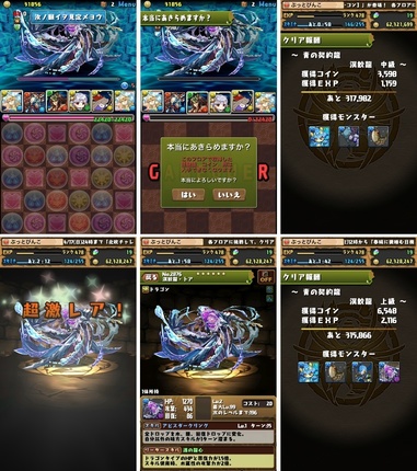 pd2311.jpg