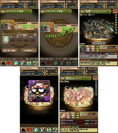 pd2339.jpg