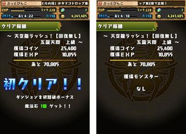 pd685.jpg
