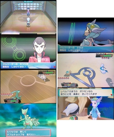 pokeas005.jpg