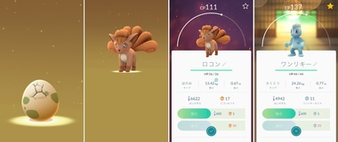 pokego005.jpg