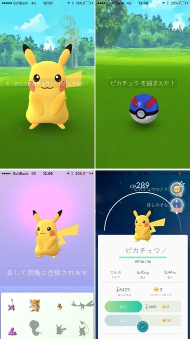 pokego010.jpg