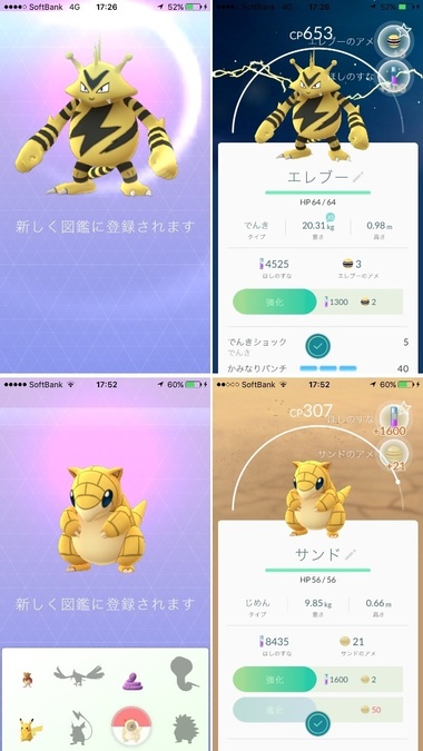 pokego011.jpg