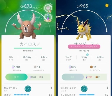 pokego012.jpg