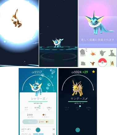 pokego014.jpg