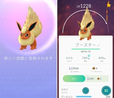 pokego017.jpg