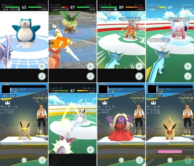 pokego019.jpg