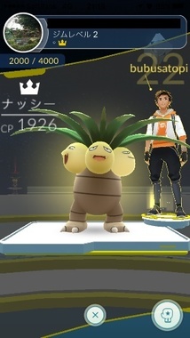 pokego026.jpg