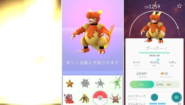 pokego029.jpg