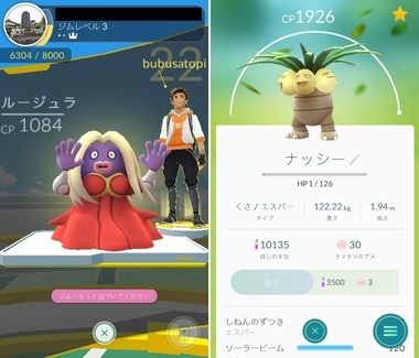 pokego030.jpg