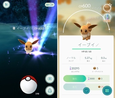 pokego031.jpg