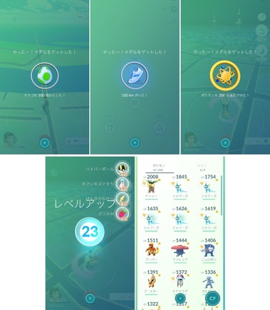 pokego032.jpg